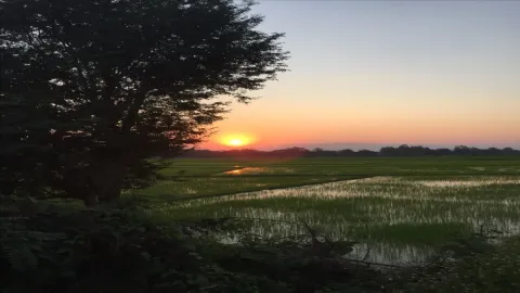 POV. Thai ban2