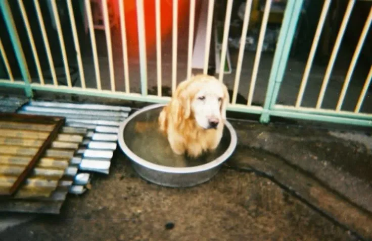 Home sweet home (Cr. all pics are from Pinterest)