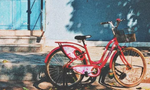 You ride your bicycle