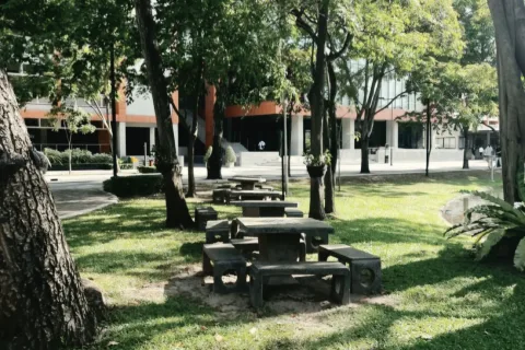 The same spot to meet your friends