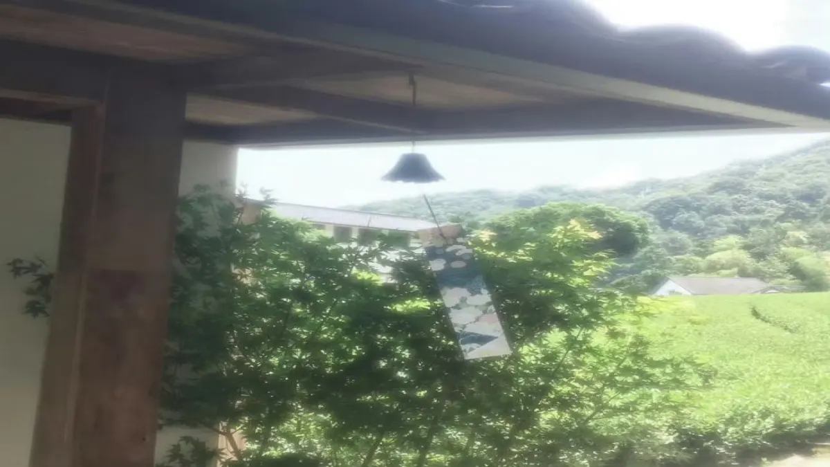 A trip to Japan with friend(zone)
