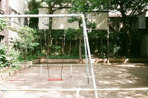 You sit together in the park