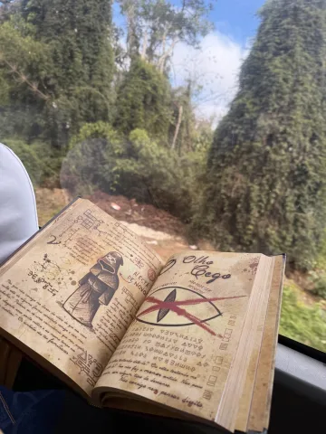 Take a look on this weird book you found hidden in the forest.