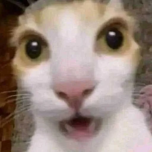 คุณตายยังไงถึงได้มาเกิดใหม่ในนิยาย? คุณกำลังอ่านนิยายเรื่องโปรดอยู่ดี ๆ แล้วจู่ ๆ ก็เกิดเหตุไม่คาดฝันขึ้น...