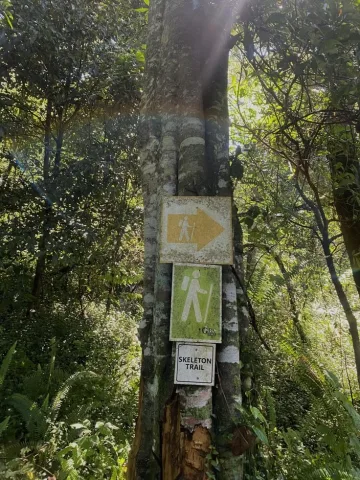 เดินป่าฟินๆ/Hiking ⛰️