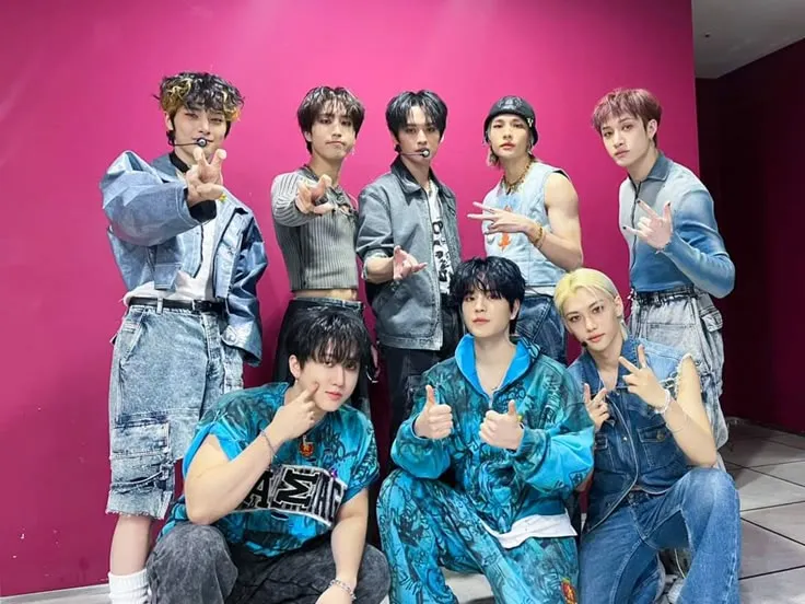 STRAY KIDS ｡⁠*ﾟ⁠+