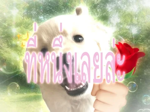 ขอบคุณพิน