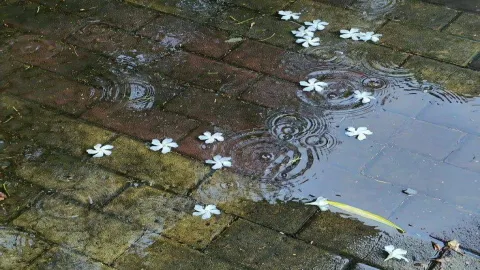 3 Days Raining At Home 🏡🌧