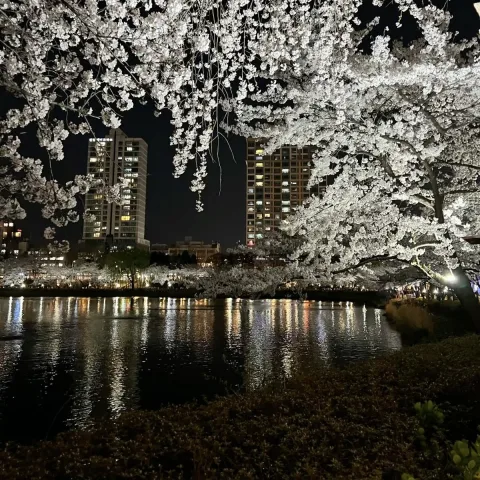 seokchon lake