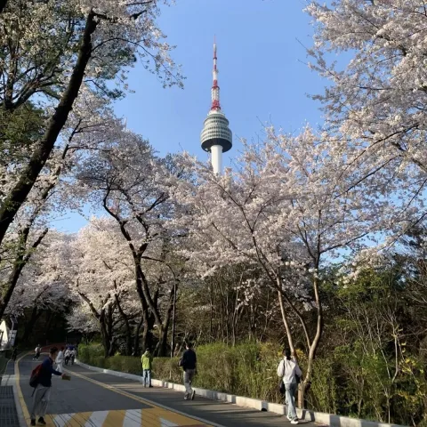 n seoul tower