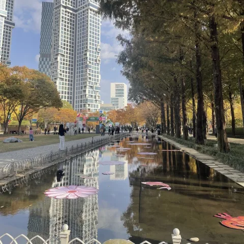 seoul forest