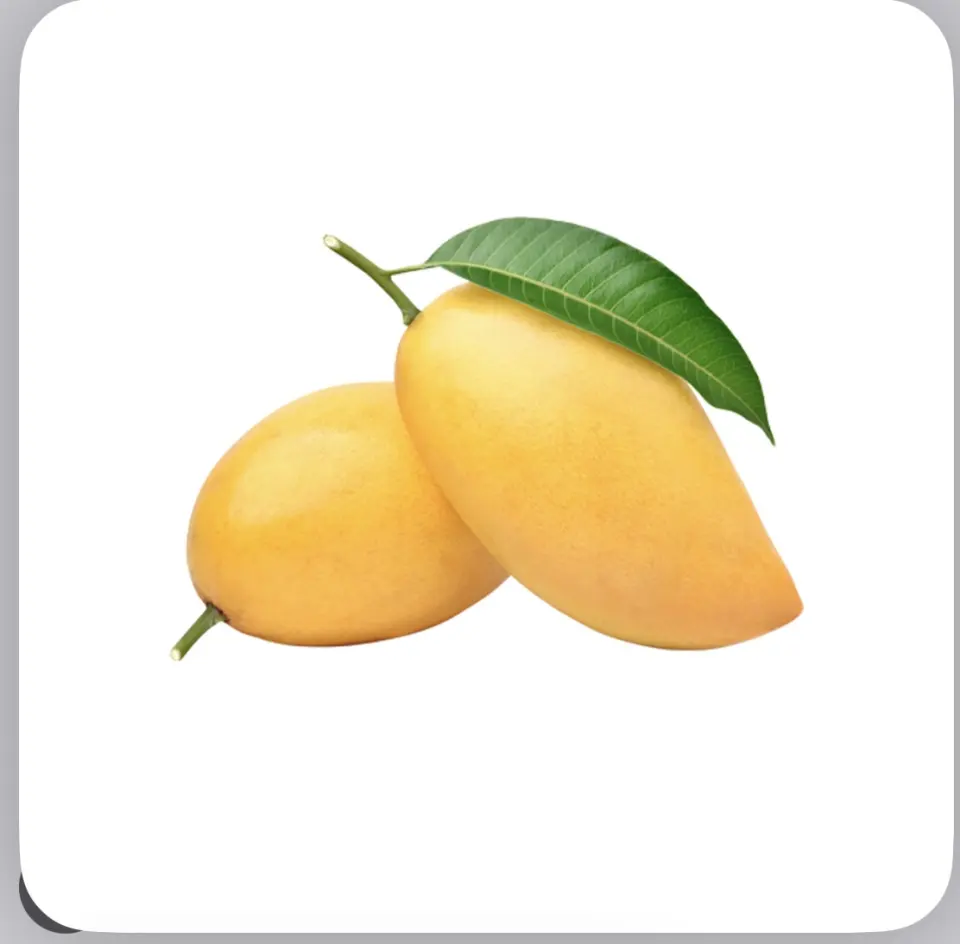 รูปนี้คือคำไหน