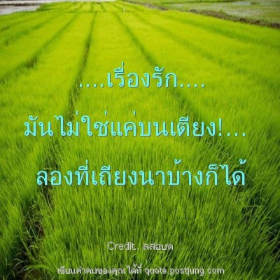 ....เรื่องรัก.... มันไม่ใช่แค่บนเตียง!… ลองที่เถียงนาบ้างก็ได้