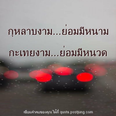 กุหลาบงาม...ย่อมมีหนาม กะเทยงาม...ย่อมมีหนวด