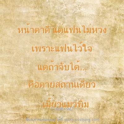 หน้าตาดี แต่แฟนไม่หวง เพราะแฟนไว้ใจ แต่ถ้าจับได้... คือตายสถานเดียว ...เมี้ยวแมวพิม