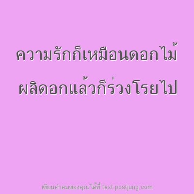 ความรักก็เหมือนดอกไม้ ผลิดอกแล้วก็ร่วงโรยไป