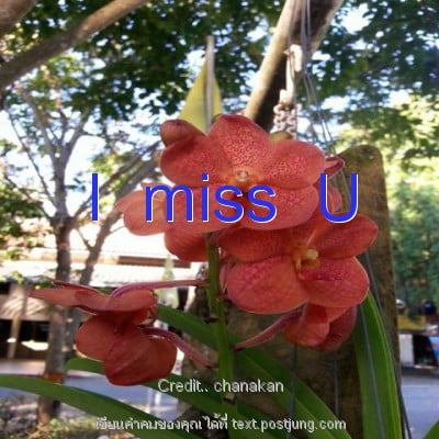 I miss U