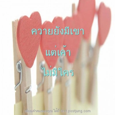 ควายยังมีเขา แต่เค้า ไม่มีใคร