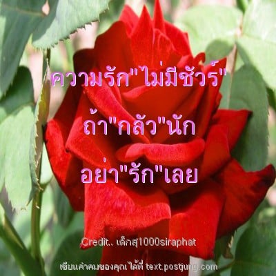 ความรัก"ไม่มีชัวร์" ถ้า"กลัว"นัก อย่า"รัก"เลย