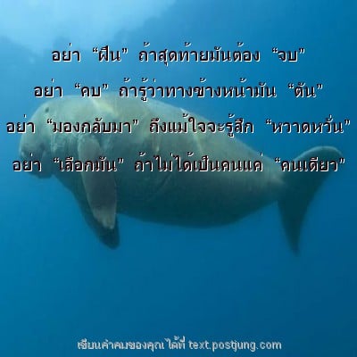 อย่า “ฝืน” ถ้าสุดท้ายมันต้อง “จบ” อย่า “คบ” ถ้ารู้ว่าทางข้างหน้ามัน “ตัน” อย่า “มองกลับมา” ถึงแม้ใจจะรู้สึก “หวาดหวั่น” อย่า “เลือกมัน” ถ้าไม่ได้เป็นคนแค่ “คนเดียว”