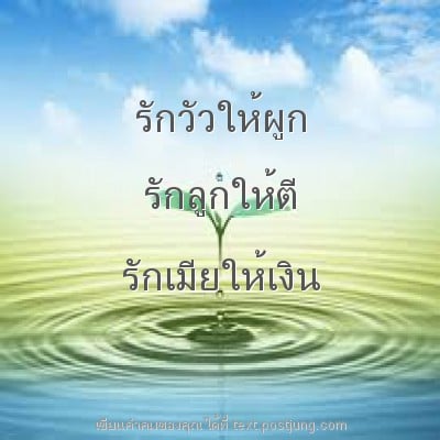 รักวัวให้ผูก รักลูกให้ตี รักเมียให้เงิน