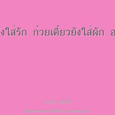 โรตียังใส่ไข่ หัวใจยังใส่รัก ก๋วยเตี๋ยวยังใส่ผัก อยากจะรักต้องใส่ใจ
