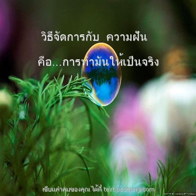 วิธีจัดการกับ ความฝัน คือ...การทำมันให้เป็นจริง