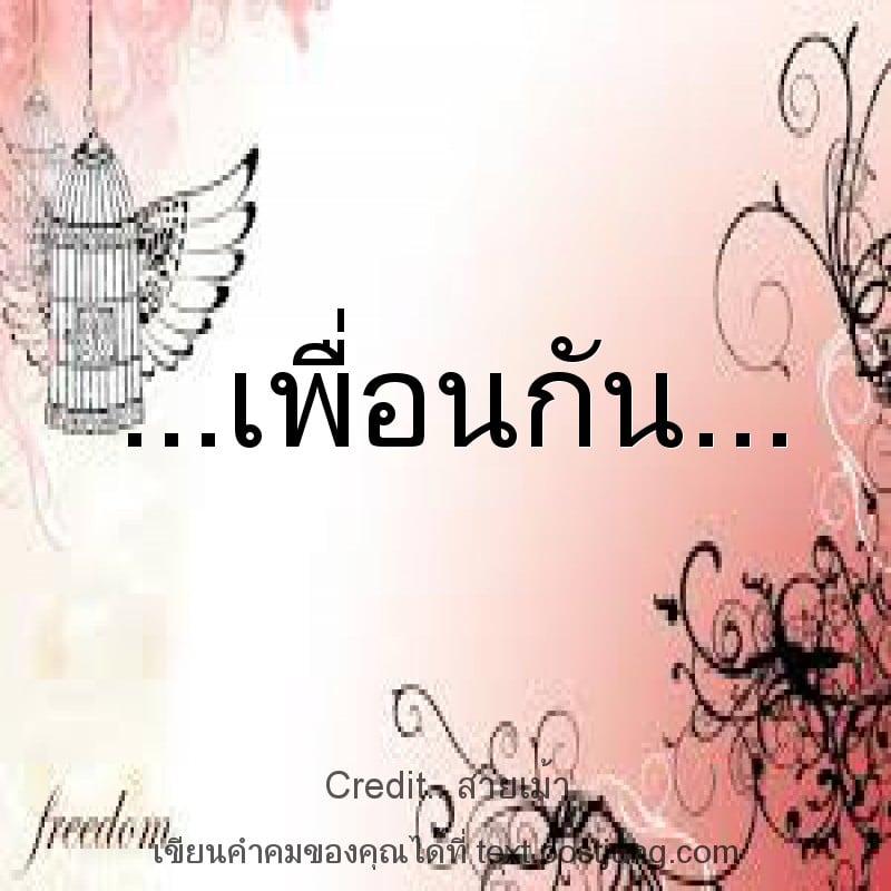 ...เพื่อนกัน...