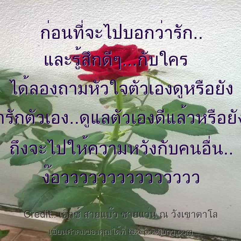 ก่อนที่จะไปบอกว่ารัก.. และรู้สึกดีๆ...กับใคร ได้ลองถามหัวใจตัวเองดูหรือยัง ว่ารักตัวเอง..ดูแลตัวเองดีแล้วหรือยัง.. ถึงจะไปให้ความหวังกับคนอื่น.. ง๊อววววววววววววววว