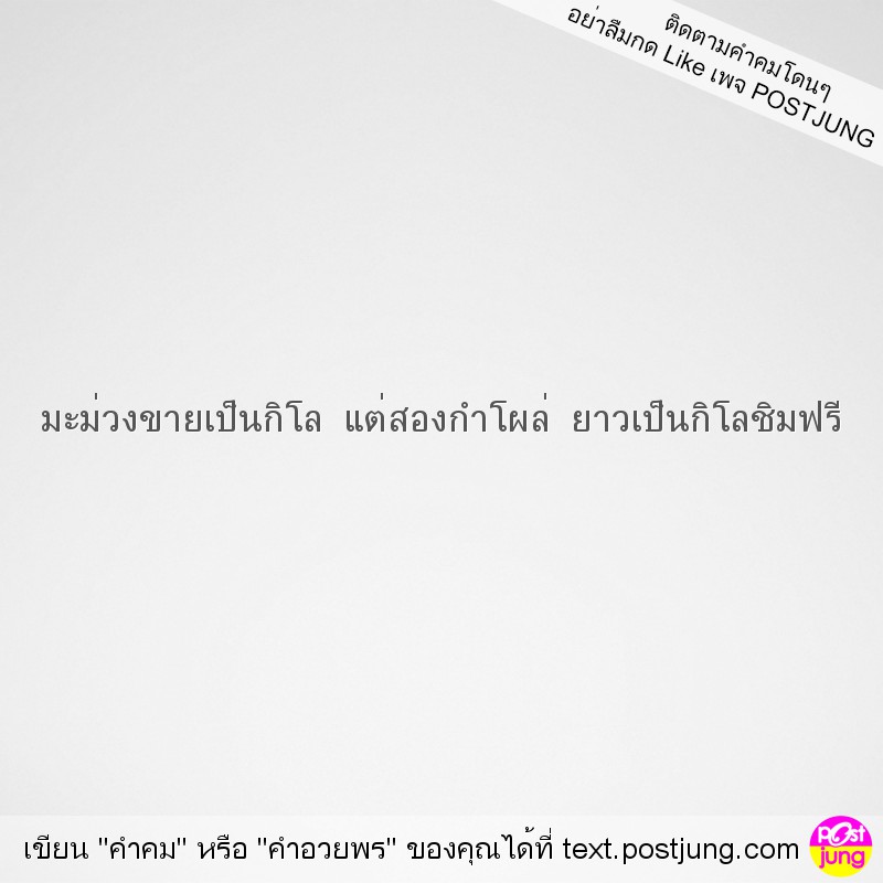 มะม่วงขายเป็นกิโล แต่สองกำโผล่ ยาวเป็นกิโลชิมฟรี
