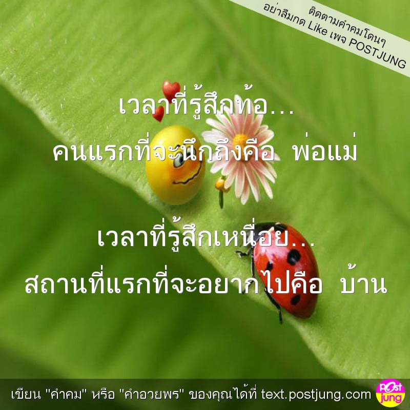 เวลาที่รู้สึกท้อ… คนแรกที่จะนึกถึงคือ พ่อแม่ เวลาที่รู้สึกเหนื่อย… สถานที่แรกที่จะอยากไปคือ บ้าน