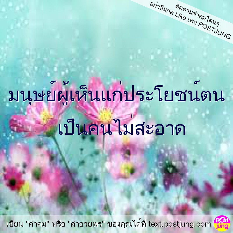 My Image 12