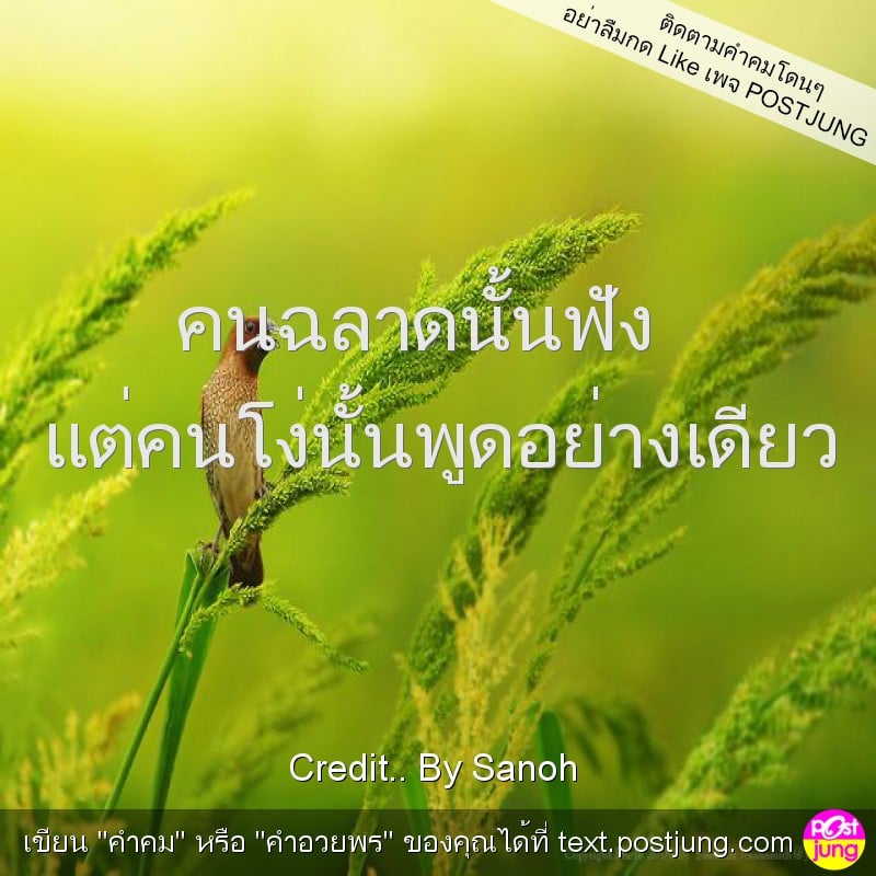 คนฉลาดนั้นฟัง แต่คนโง่นั้นพูดอย่างเดียว