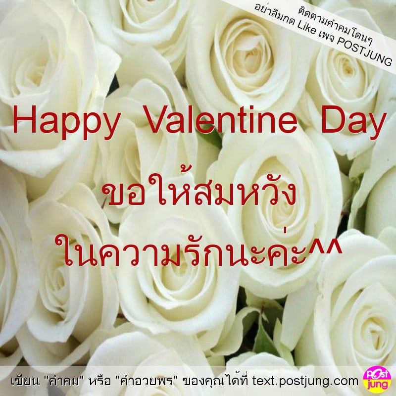 Happy Valentine Day ขอให้สมหวัง ในความรักนะค่ะ^^