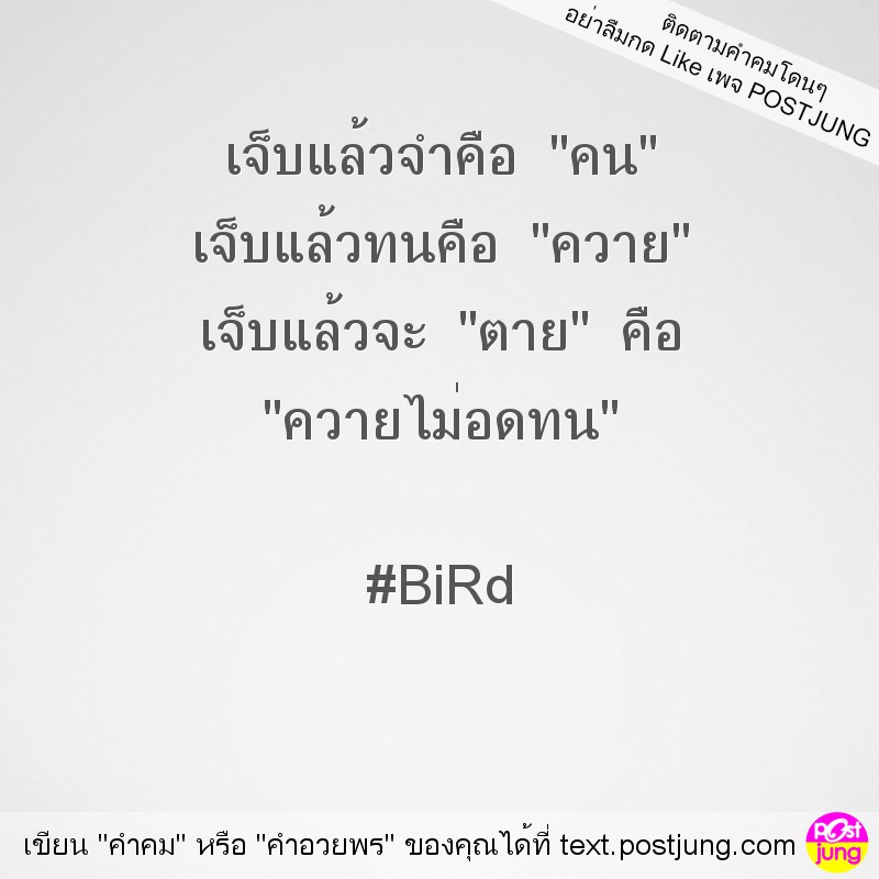 เจ็บแล้วจำคือ "คน" เจ็บแล้วทนคือ "ควาย" เจ็บแล้วจะ "ตาย" คือ "ควายไม่อดทน" #BiRd