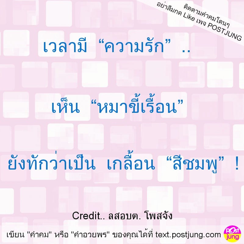 เวลามี “ความรัก” .. เห็น “หมาขี้เรื้อน” ยังทักว่าเป็น เกลื้อน “สีชมพู” !