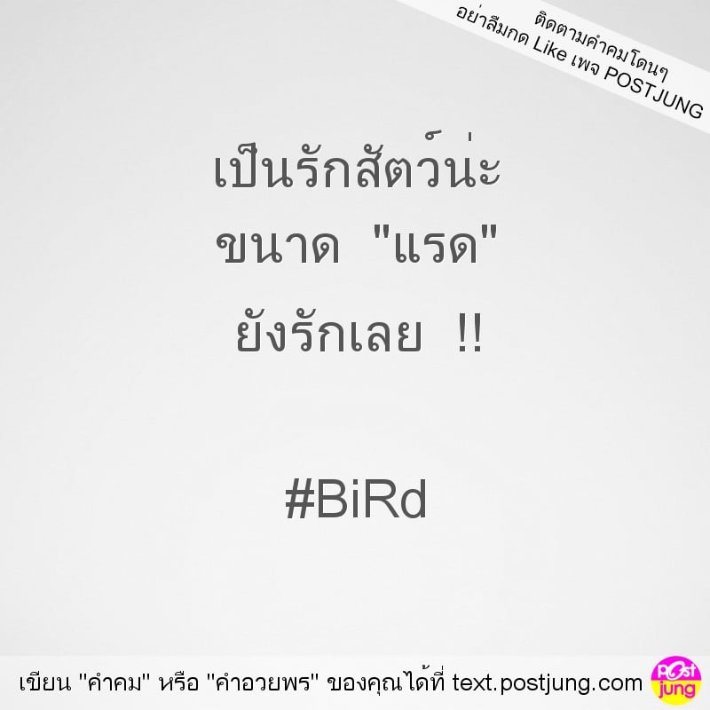 เป็นรักสัตว์น่ะ ขนาด "แรด" ยังรักเลย !! #BiRd