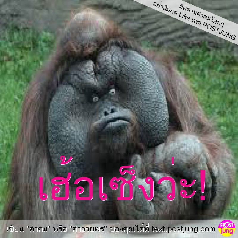 เฮ้อเซ็งว่ะ!