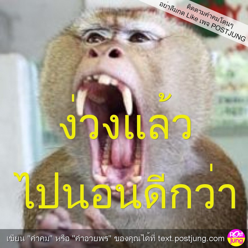 ง่วงแล้ว ไปนอนดีกว่า
