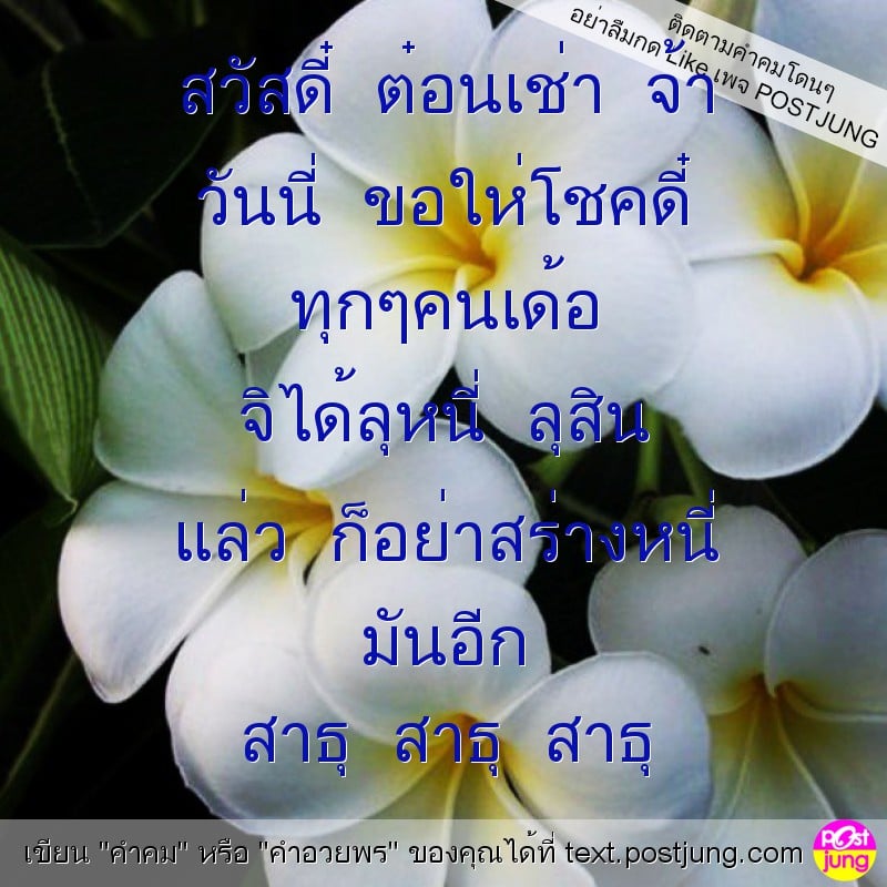 สวัสดี๋ ต๋อนเช่า จ้า วันนี่ ขอให่โชคดี๋ ทุกๆคนเด้อ จิได้ลุหนี่ ลุสิน แล่ว ก็อย่าสร่างหนี่ มันอีก สาธุ สาธุ สาธุ