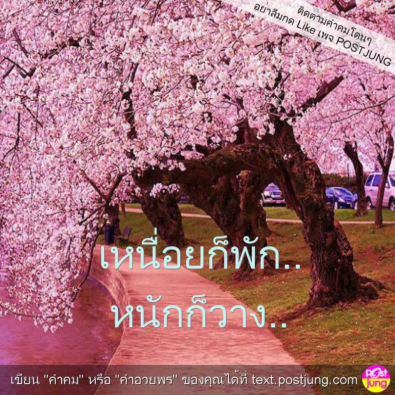 เหนื่อยก็พัก.. หนักก็วาง..