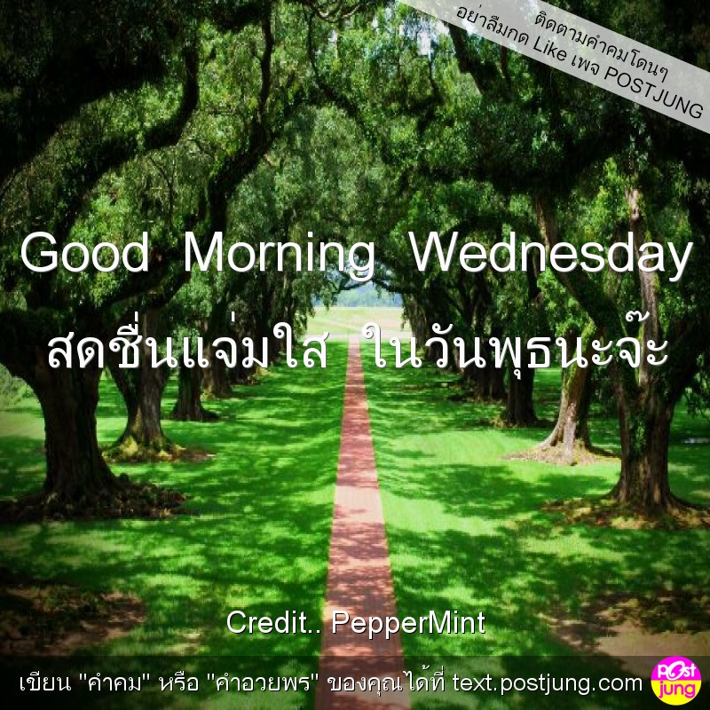 Good Morning Wednesday สดชื่นแจ่มใส ในวันพุธนะจ๊ะ