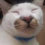 อบใจ's profile