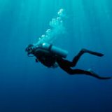Subsea's profile