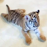 ในที่สุดโลกก็เข้าข้างเรา's profile