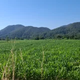 มล นะคับ's profile