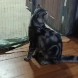 อย่าเรียกบ่อย's profile