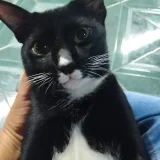 อีตัวซวย's profile