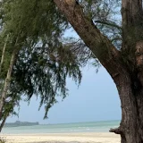 Lesbian les's profile