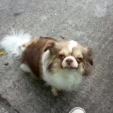 ขว้างงูไม่พ้นคอ ขว้างสุดแรงก็ไม่ไป's profile